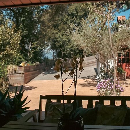 Villa Casa Magnolia Dosrius Esterno foto